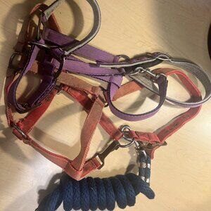 Equine halters and lead rope set